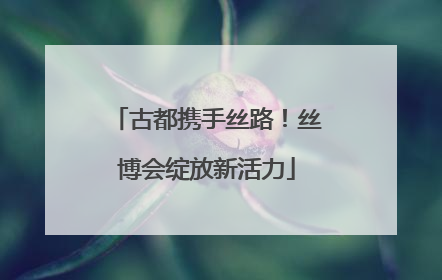 古都携手丝路！丝博会绽放新活力