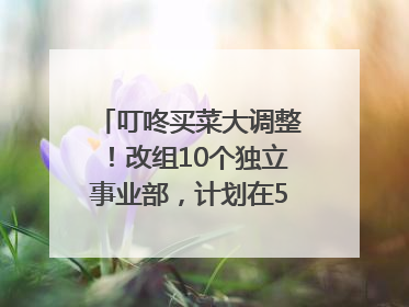 叮咚买菜大调整！改组10个独立事业部，计划在5月完成App端全面改版