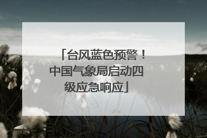台风蓝色预警！中国气象局启动四级应急响应