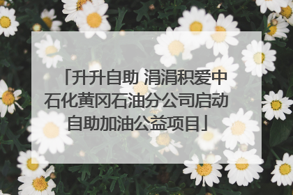 升升自助 涓涓积爱中石化黄冈石油分公司启动自助加油公益项目