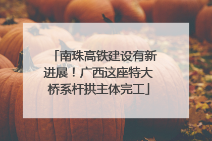 南珠高铁建设有新进展！广西这座特大桥系杆拱主体完工