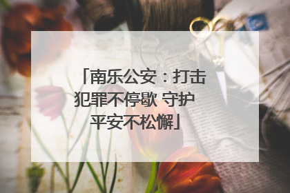 南乐公安：打击犯罪不停歇 守护平安不松懈