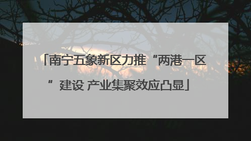 南宁五象新区力推“两港一区”建设 产业集聚效应凸显