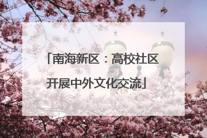 南海新区：高校社区开展中外文化交流