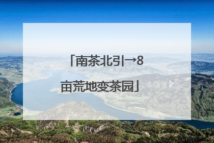 南茶北引→8亩荒地变茶园