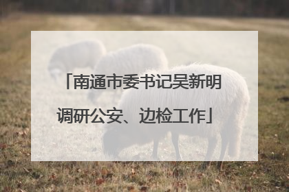 南通市委书记吴新明调研公安、边检工作