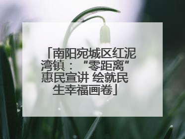 南阳宛城区红泥湾镇：“零距离”惠民宣讲 绘就民生幸福画卷