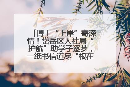 博士“上岸”寄深情！岱岳区人社局“护航”助学子逐梦，一纸书信道尽“根在岱岳”的眷恋