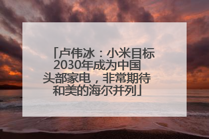 卢伟冰：小米目标2030年成为中国头部家电，非常期待和美的海尔并列