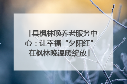 县枫林晚养老服务中心：让幸福“夕阳红”在枫林晚温暖绽放