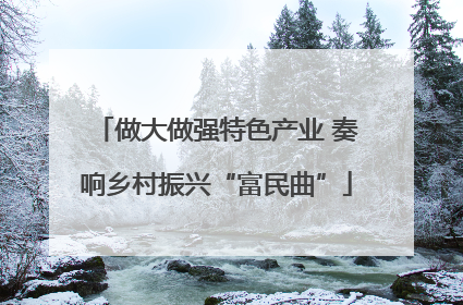 做大做强特色产业 奏响乡村振兴“富民曲”