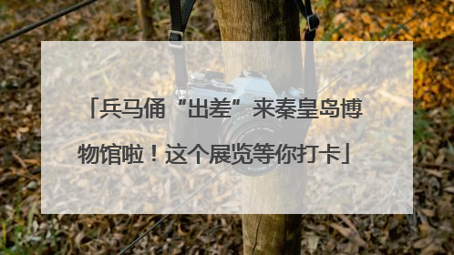 兵马俑“出差”来秦皇岛博物馆啦！这个展览等你打卡
