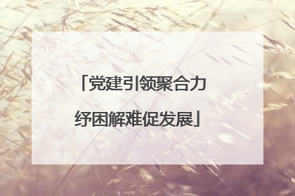 党建引领聚合力 纾困解难促发展