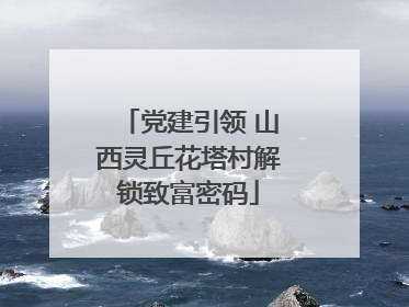 党建引领 山西灵丘花塔村解锁致富密码