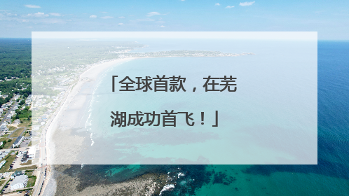 全球首款，在芜湖成功首飞！