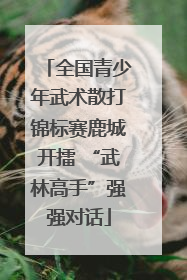 全国青少年武术散打锦标赛鹿城开擂 “武林高手”强强对话