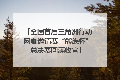 全国首届三角洲行动网咖邀请赛“熊族杯”总决赛圆满收官