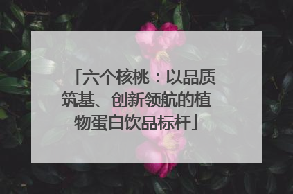 六个核桃：以品质筑基、创新领航的植物蛋白饮品标杆