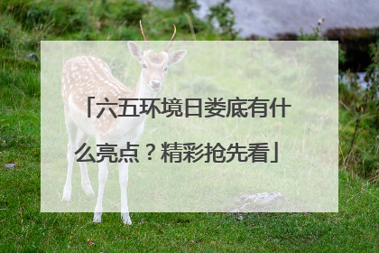 六五环境日娄底有什么亮点？精彩抢先看