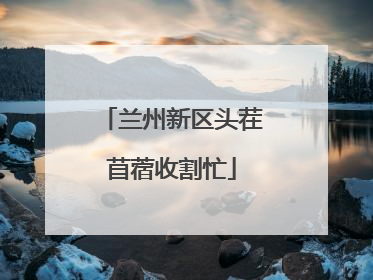 兰州新区头茬苜蓿收割忙