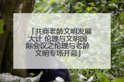 共商老龄文明发展大计 伦理与文明国际会议之伦理与老龄文明专场开幕