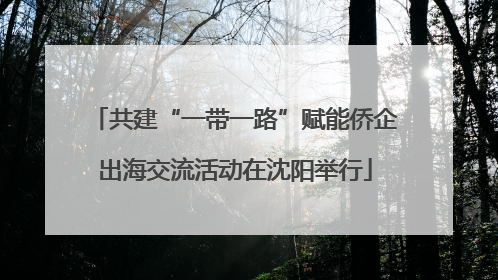 共建“一带一路”赋能侨企出海交流活动在沈阳举行