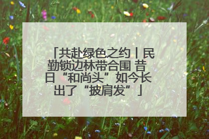 共赴绿色之约丨民勤锁边林带合围 昔日“和尚头”如今长出了“披肩发”