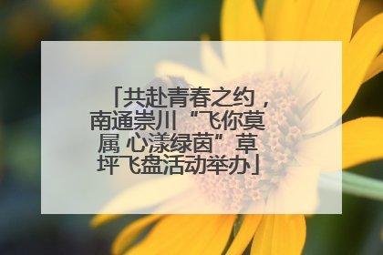 共赴青春之约，南通崇川“飞你莫属 心漾绿茵”草坪飞盘活动举办