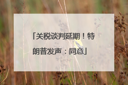 关税谈判延期！特朗普发声：同意