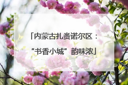 内蒙古扎赉诺尔区：“书香小城”韵味浓