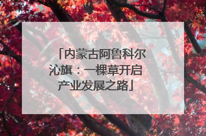 内蒙古阿鲁科尔沁旗：一棵草开启产业发展之路