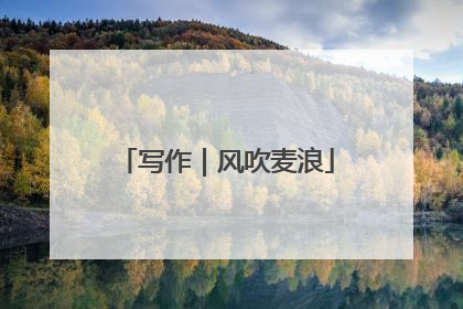 写作｜风吹麦浪