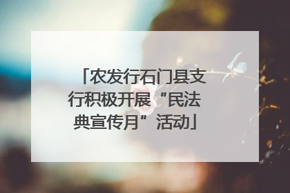 农发行石门县支行积极开展“民法典宣传月”活动