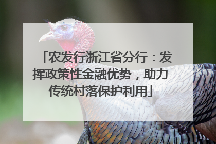 农发行浙江省分行：发挥政策性金融优势，助力传统村落保护利用