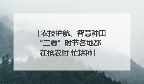 农技护航、智慧种田 “三夏”时节各地都在抢农时 忙耕种