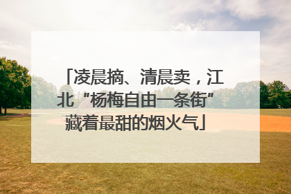 凌晨摘、清晨卖，江北“杨梅自由一条街”藏着最甜的烟火气