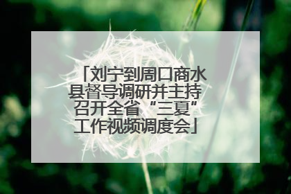 刘宁到周口商水县督导调研并主持召开全省“三夏”工作视频调度会
