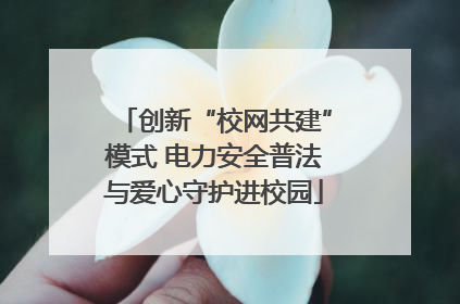 创新“校网共建”模式 电力安全普法与爱心守护进校园