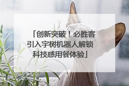 创新突破！必胜客引入宇树机器人解锁科技感用餐体验
