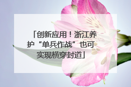 创新应用！浙江养护“单兵作战”也可实现横穿封道