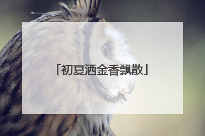 初夏洒金香飘散