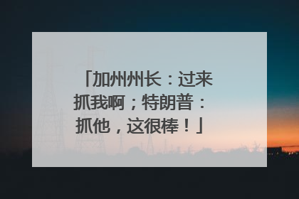 加州州长：过来抓我啊；特朗普：抓他，这很棒！