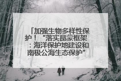 加强生物多样性保护！“落实昆蒙框架：海洋保护地建设和南极公海生态保护”主题论坛将举办