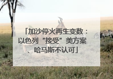加沙停火再生变数：以色列“接受”美方案、哈马斯不认可