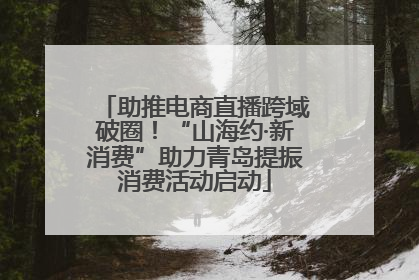 助推电商直播跨域破圈！“山海约·新消费”助力青岛提振消费活动启动