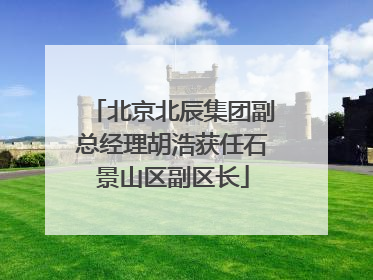 北京北辰集团副总经理胡浩获任石景山区副区长