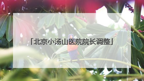 北京小汤山医院院长调整