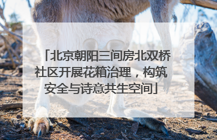 北京朝阳三间房北双桥社区开展花箱治理，构筑安全与诗意共生空间