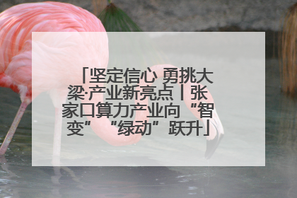 坚定信心 勇挑大梁·产业新亮点丨张家口算力产业向“智变”“绿动”跃升