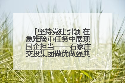 坚持党建引领 在急难险重任务中展现国企担当——石家庄交投集团做优做强典型报道之一